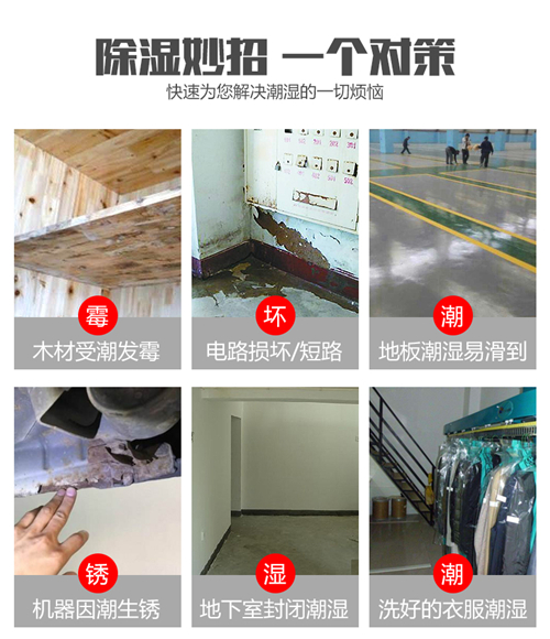 工業(yè)除濕機(jī)