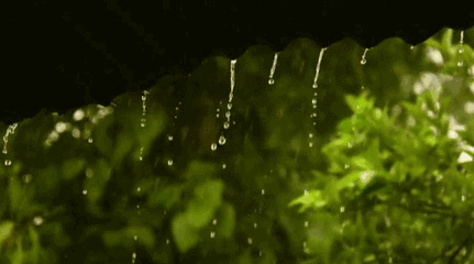 除濕機