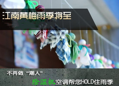 雨季防潮用除濕機