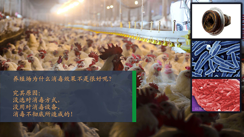 養(yǎng)殖場(chǎng)打藥?kù)F化消毒機(jī)