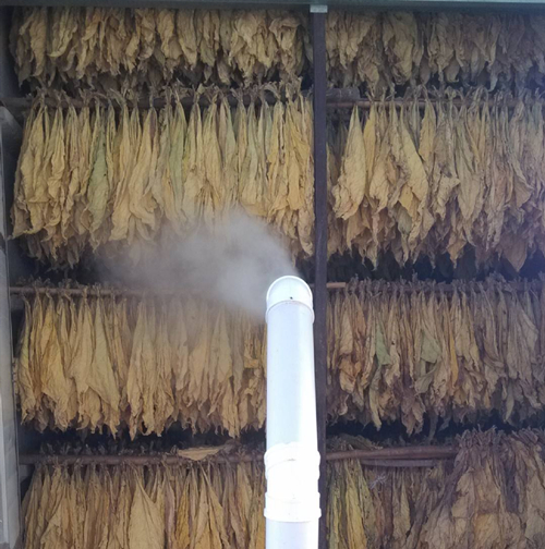 煙葉上潮機