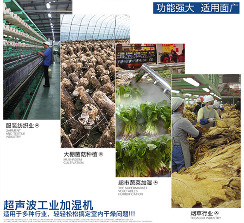 大型加濕機