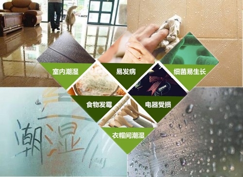 吊頂除濕機