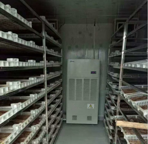 山藥烘干除濕機