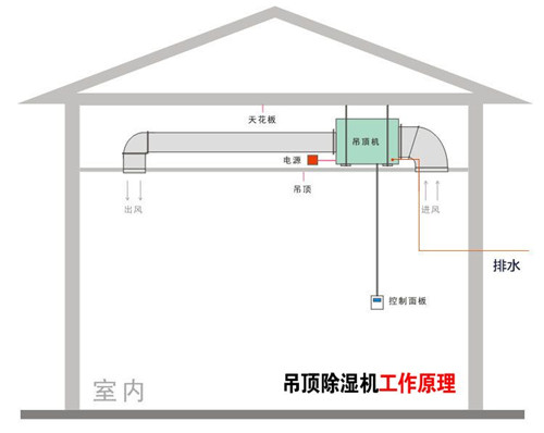 養(yǎng)豬場(chǎng)除濕機(jī)