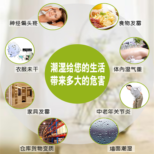 別墅除濕機(jī).jpg