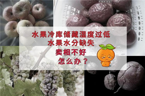 氣調保鮮庫加濕機