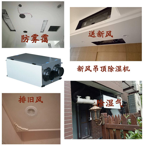 除濕新風(fēng)機