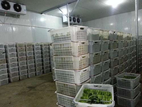 蔬菜保鮮庫(kù)保濕機(jī).jpg