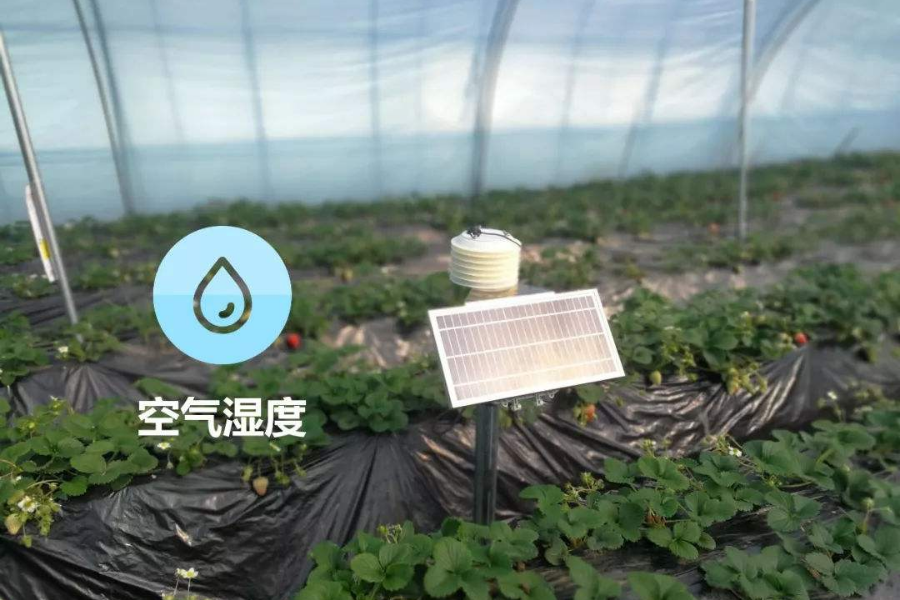 種植大棚除濕機