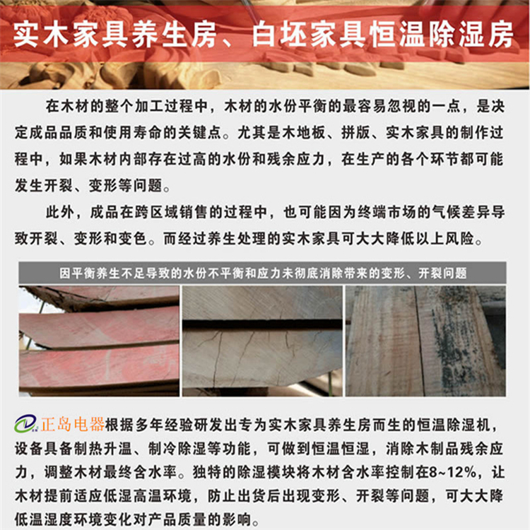 家具養(yǎng)生房除濕機(jī)