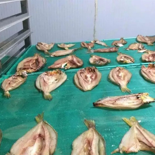 海產(chǎn)品烘干機