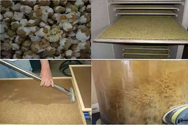 花粉如何快速烘干？