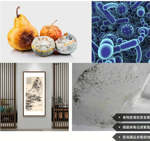 潮濕對(duì)家庭的危害.webp.jpg