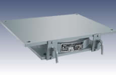 ������ʽ���z֧��